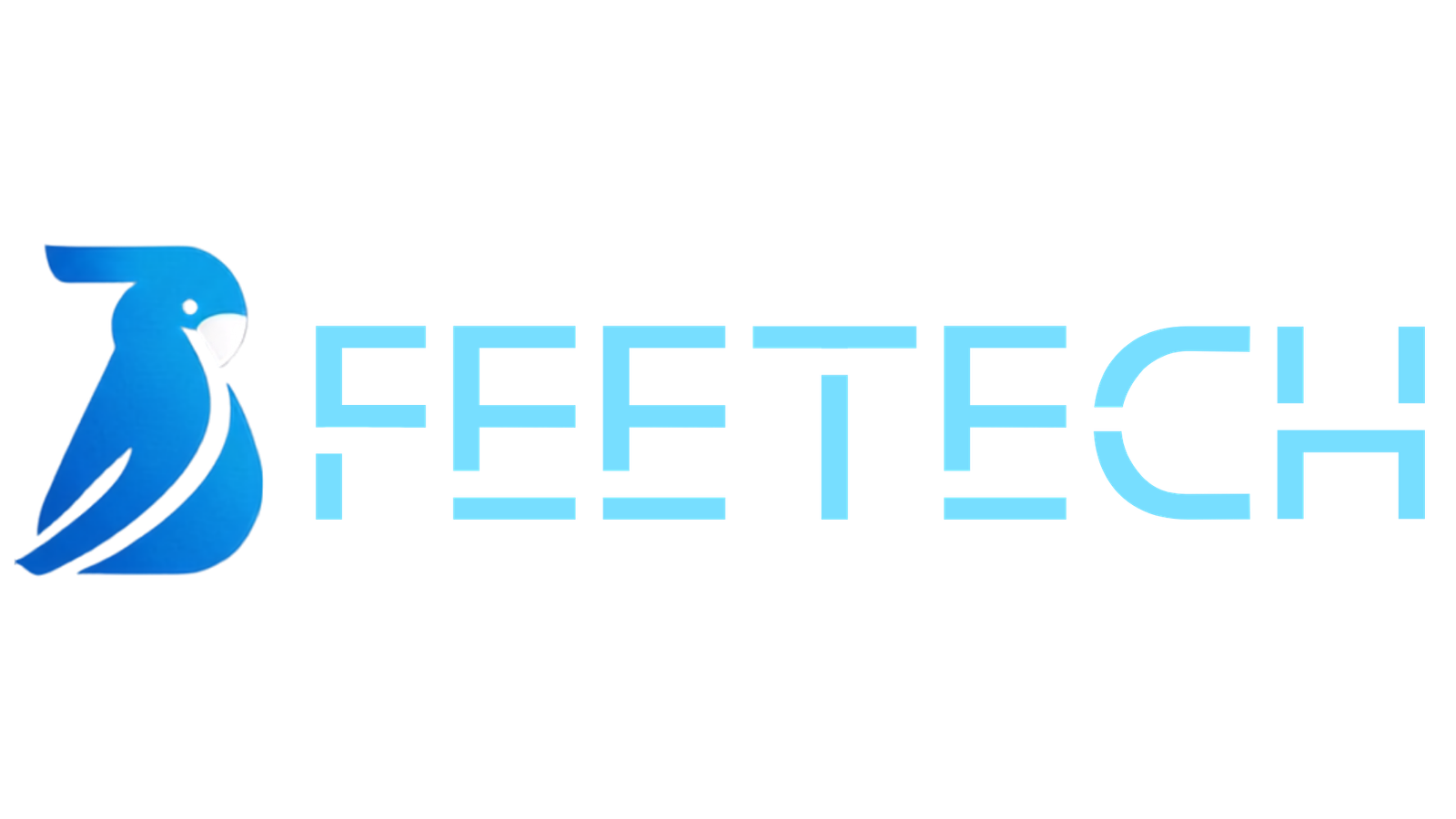 FEETECH